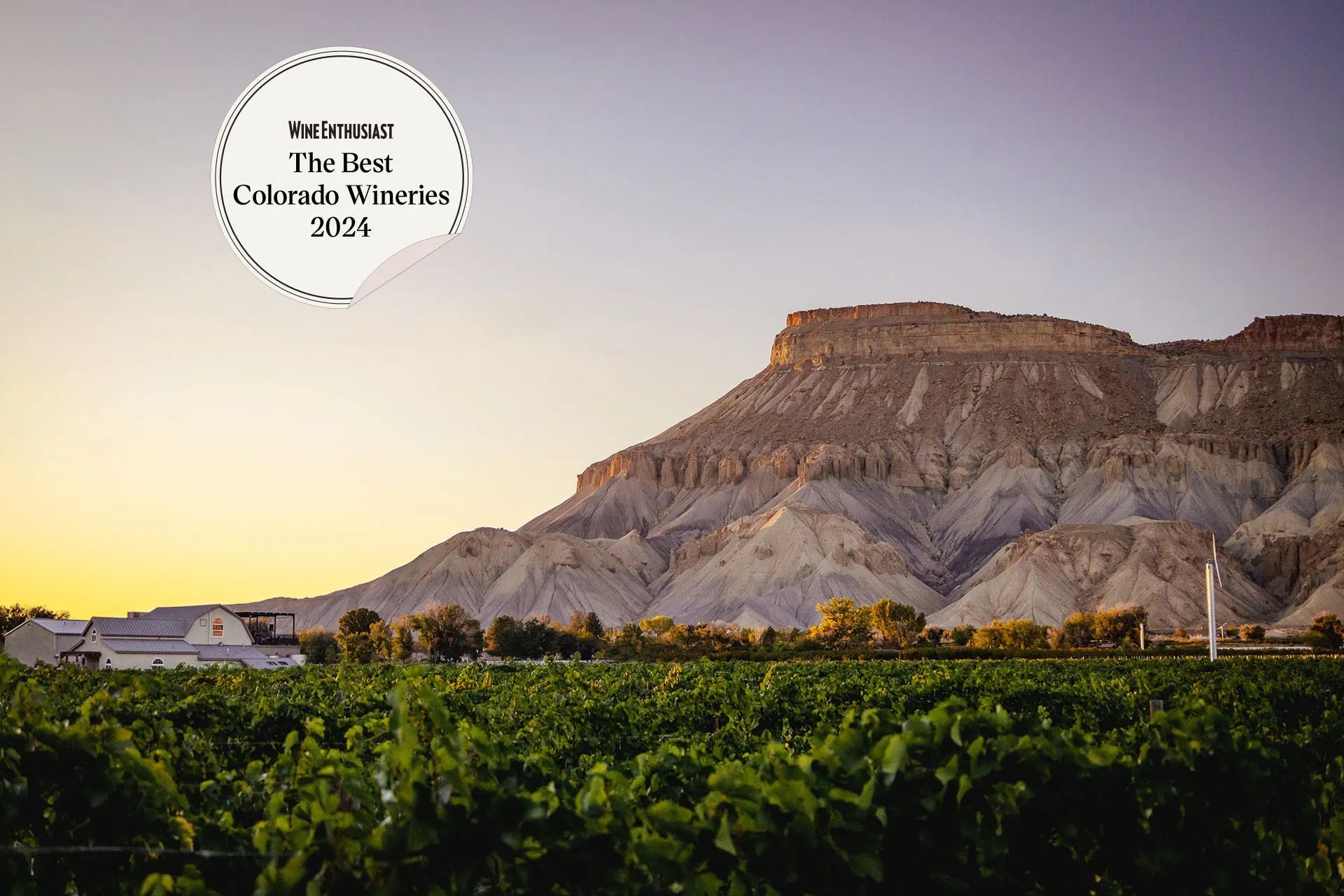 The Best Colorado Wineries to Visit Right Now - Wine Enthusiast Magazine