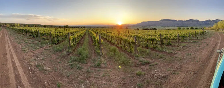 Barrel Into Colorado’s Hidden Wine Scene — The Park Record