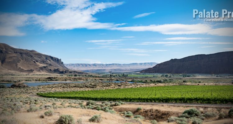 Southwest Colorado is the Place for Wine like These from Ordinary Fellow  – Far from Ordinary - Palette Press