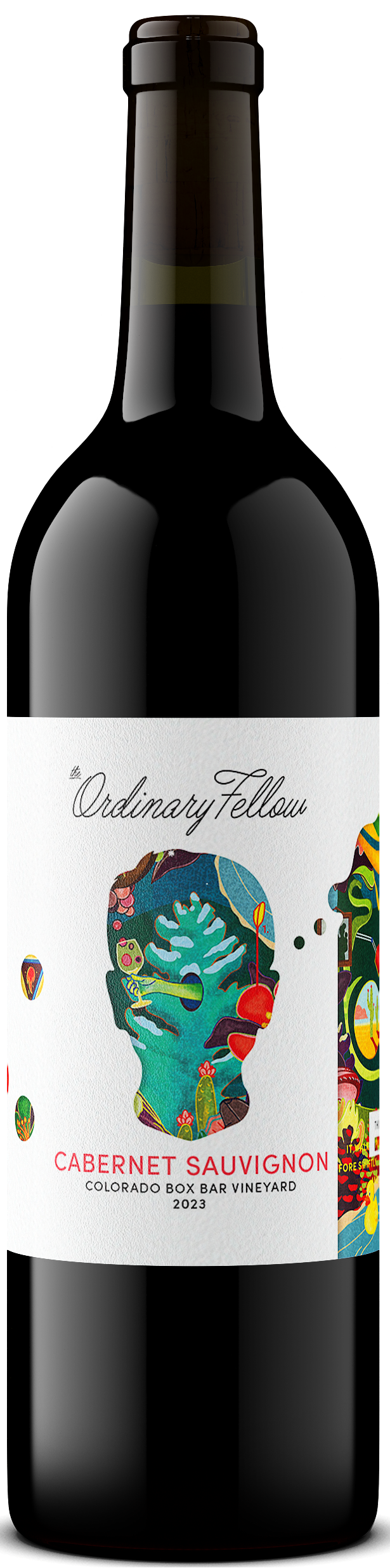 The Ordinary Fellow 2023 Malbec