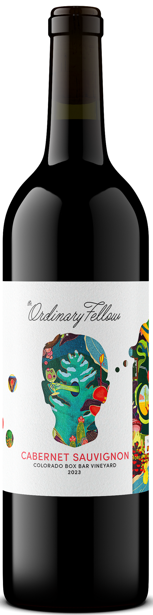 The Ordinary Fellow 2023 Malbec